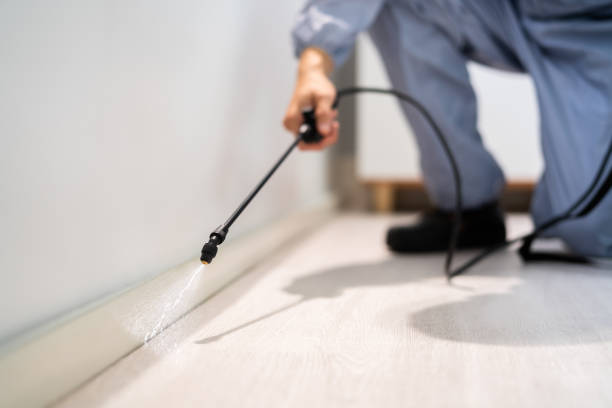 Licensed Fumigation Services service in Colorado Springs, CO - Nex Pest Control