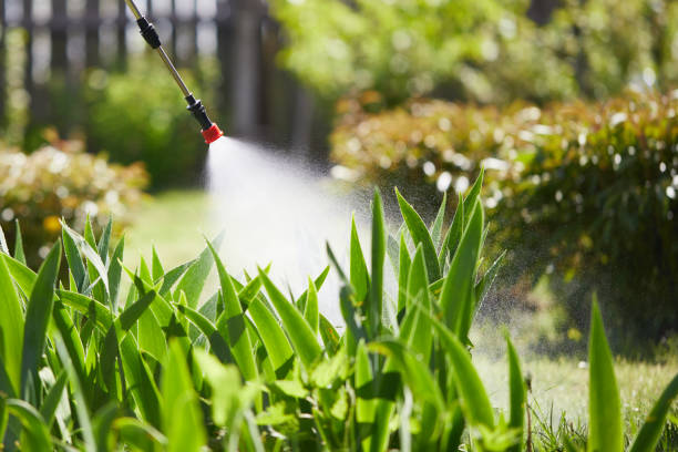 24/7 Emergency Fumigation Services experts in Colorado Springs, CO