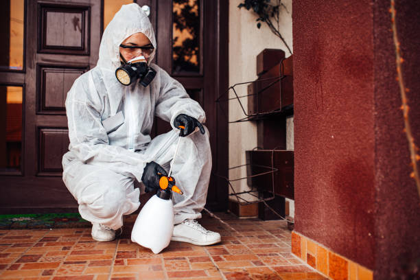 Reliable Fumigation Services contractor in Colorado Springs, CO by Nex Pest Control